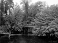 DSCF1306633