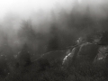 DSCF1509