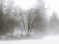 Rising fog