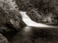 Birdseye brook