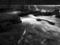 DSCF3225