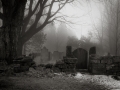Munson cemetery on Canaan Mountain road