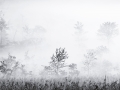 DSCF5454-HDRBW