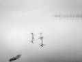 DSCF5738_1BW