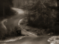 DSCF5908