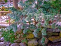 DSCF7121