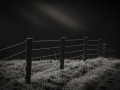 DSCF9542