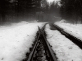 cornwalbridgetrain_sdim3879