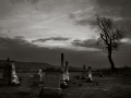 dsc00213_bw