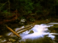 dscf303238_new