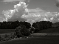 dscf7851