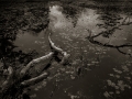 dsc08522bw