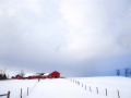 dscf0042