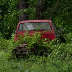 RD_farm_June17_2026